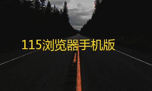 RAY暗区直装辅助115浏览器手机版